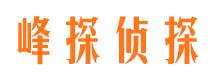 龙门市私家侦探公司